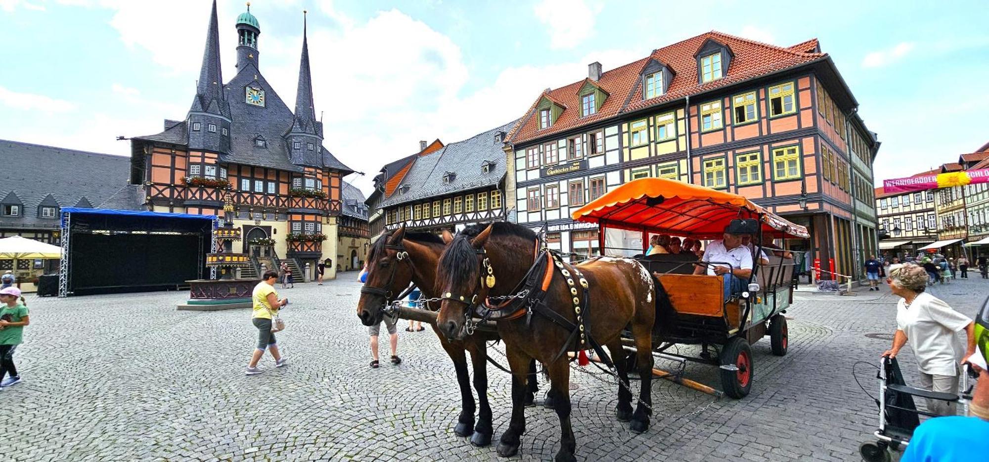 Apartment Bauer Linde's Wernigerode