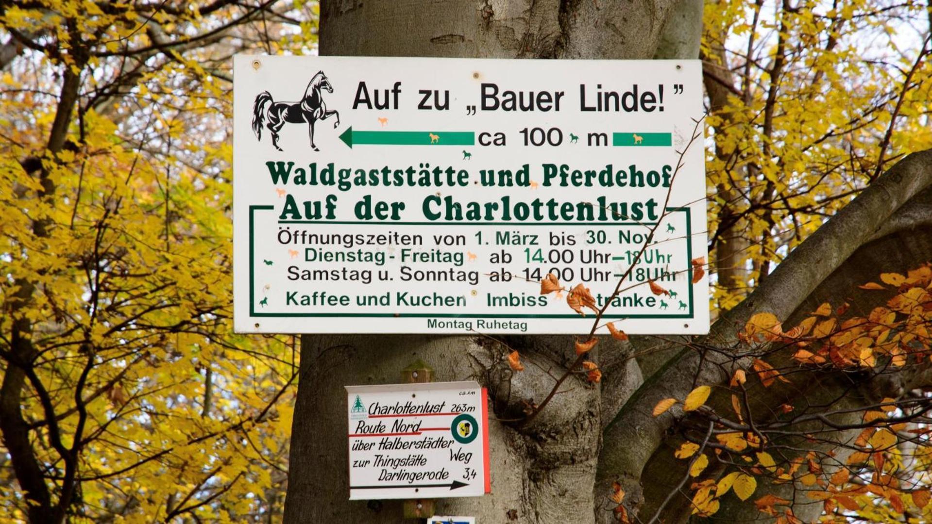 Bauer Linde's Wernigerode